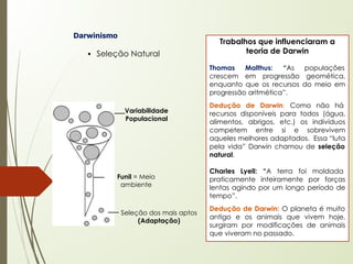 Darwinismo
▪ Seleção Natural
Variabilidade
Populacional
Funil = Meio
ambiente
Seleção dos mais aptos
(Adaptação)
Trabalhos que influenciaram a
teoria de Darwin
Thomas Malthus: “As populações
crescem em progressão geomética,
enquanto que os recursos do meio em
progressão aritmética”.
Dedução de Darwin: Como não há
recursos disponíveis para todos (água,
alimentos, abrigos, etc.) os indivíduos
competem entre si e sobrevivem
aqueles melhores adaptados. Essa “luta
pela vida” Darwin chamou de seleção
natural.
Charles Lyell: “A terra foi moldada
praticamente inteiramente por forças
lentas agindo por um longo período de
tempo”.
Dedução de Darwin: O planeta é muito
antigo e os animais que vivem hoje,
surgiram por modificações de animais
que viveram no passado.
 
