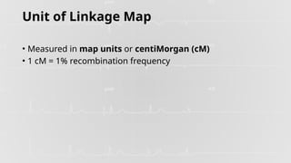 Understanding Genetic Linkage and Linkage Maps in Inheritance | PPTX