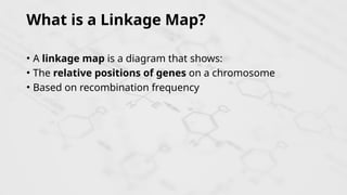 Understanding Genetic Linkage and Linkage Maps in Inheritance | PPTX