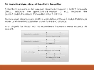 FUNDAMENTALS OF LINKAGE MAPPING IN MAIZE.pptx