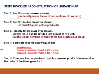 FUNDAMENTALS OF LINKAGE MAPPING IN MAIZE.pptx