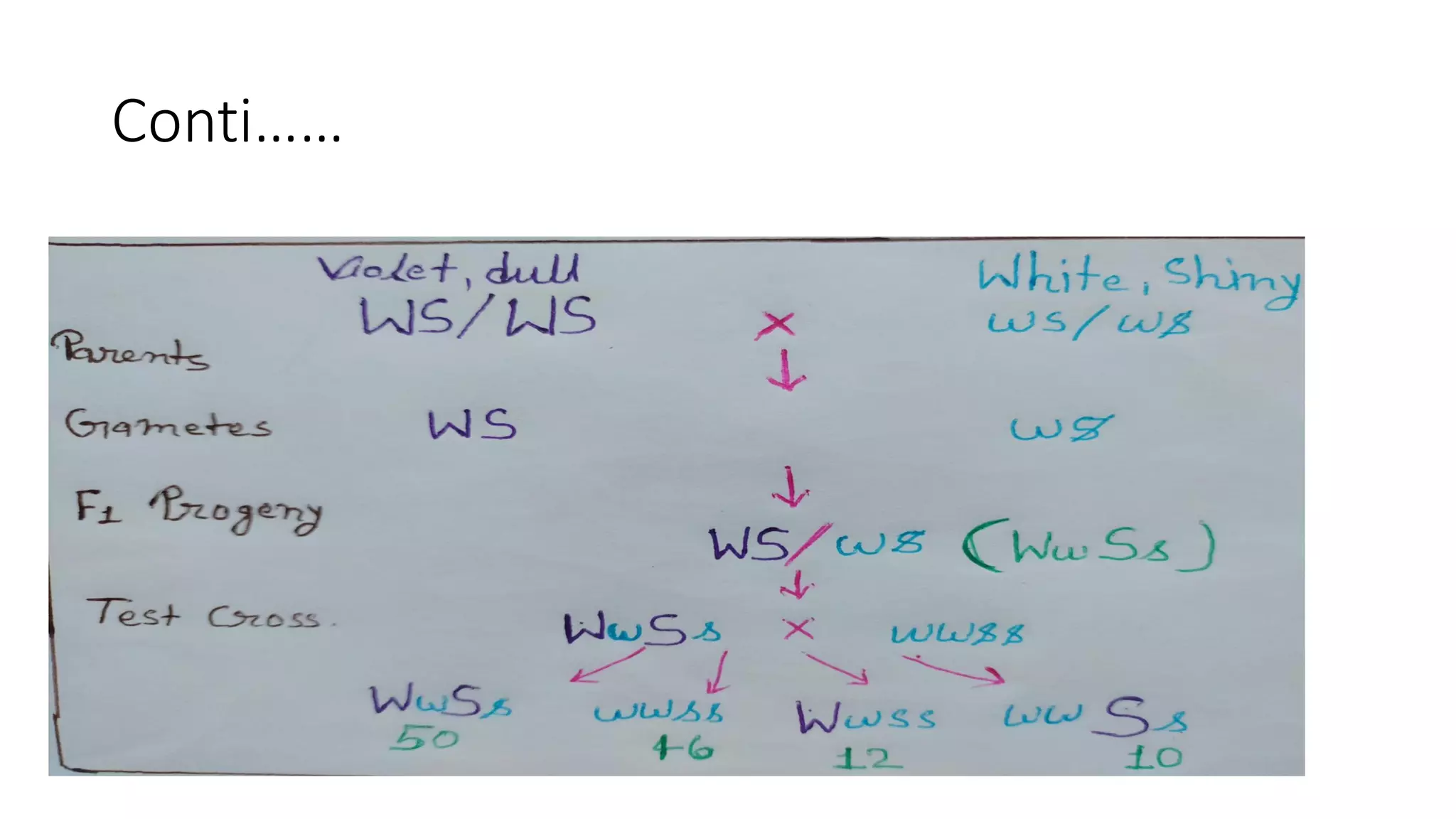Linkage mapping PPT