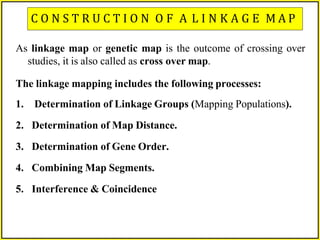 Linkage mapping.pptxhcgxfxgfxfxycghcghcfhf | PPTX