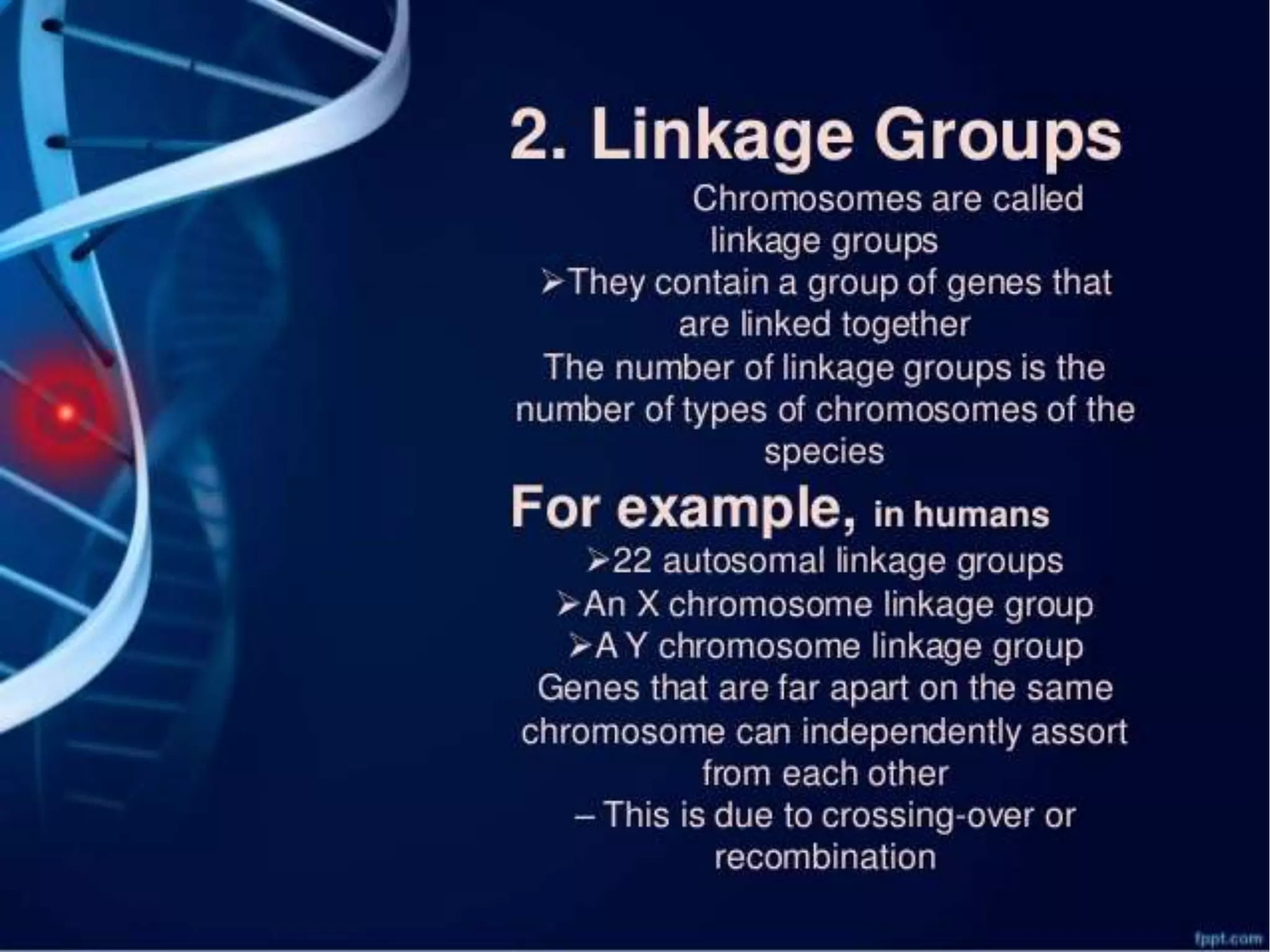 Linkage map ping by recombination in human phyisology ii | PPTX