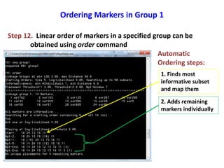 Ordering Markers in Group 1
Step 12. Linear order of markers in a specified group can be
obtained using order command
Automatic
Ordering steps:
1. Finds most
informative subset
and map them
2. Adds remaining
markers individually
 