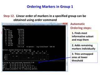 Ordering Markers in Group 1
Step 12. Linear order of markers in a specified group can be
obtained using order command
Automatic
Ordering steps:
1. Finds most
informative subset
and map them
2. Adds remaining
markers individually
3. Tries unmapped
ones at lower
threshold
 