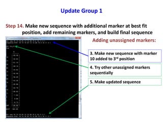 Update Group 1
Step 14. Make new sequence with additional marker at best fit
position, add remaining markers, and build final sequence
Adding unassigned markers:
3. Make new sequence with marker
10 added to 3rd position
4. Try other unassigned markers
sequentially
5. Make updated sequence
 