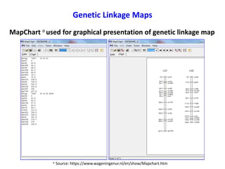 Linkage mapping lab | PPTX