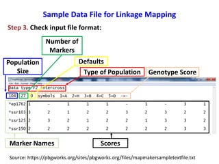 Linkage mapping lab | PPTX