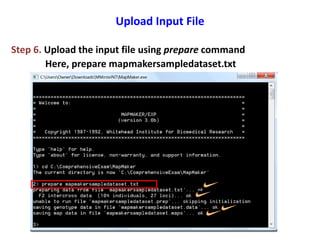 Upload Input File
Step 6. Upload the input file using prepare command
Here, prepare mapmakersampledataset.txt
 