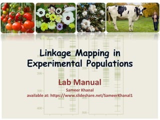 Lab Manual
Sameer Khanal
available at: https://www.slideshare.net/SameerKhanal1
 