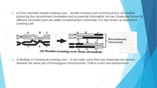 chromosomal theory of inheritance, linkage and crossing over | PDF
