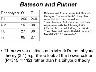 Bateson and Punnet There was a distinction to Mendel's monohybrid theory (3:1) e.g. if you look at the flower colour (P=315 r=112) rather than his dihybrid theory  Bateson and Punnet accepted Mendel's theory on ‘dominant traits’ , they also accepted that there would be ‘recombinants’. But when they did their experiment with the following traits ( P= purple , r= red, L=long, r= round). They observed results that did not match Mendel's 9:3:3:1 ratio why? 27 85 r r 80 27 r L 80 19 P r 240 296 P L E O Phenotype 