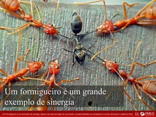 Um formigueiro é um exemplo de sinergia. Apesar de cada formiga ter sua tarefa, as especialidades se completam e juntas alcançam o objetivo final.
Um formigueiro é um grande
exemplo de sinergia
11
 