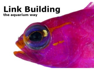 Read more www.SeoCustomer.com
You can also call this link building the
aquarium way
• The search engines don’t like the li...