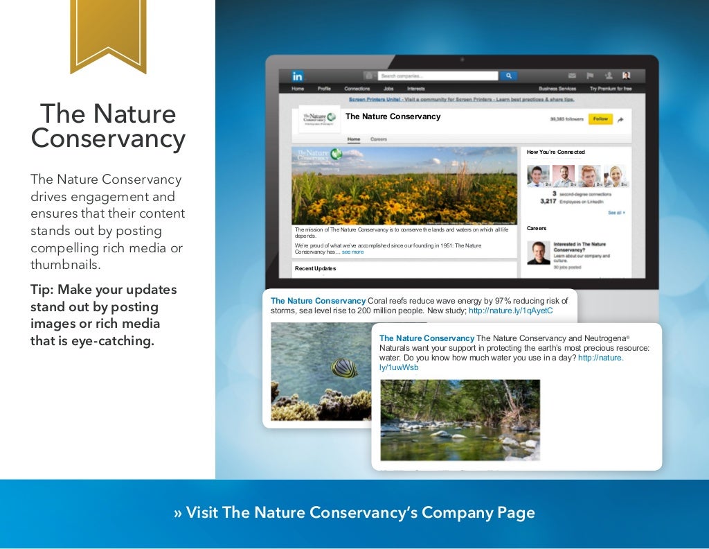 The Nature Conservancy The Nature