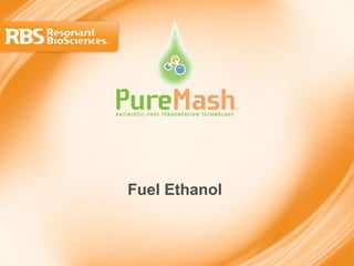 Fuel Ethanol  