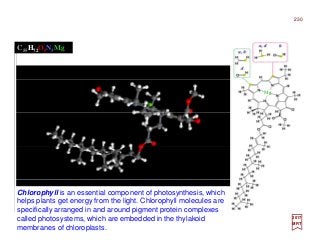 Chlorophyll is an essential component of photosynthesis, which
helps plants get energy from the light. Chlorophyll molecules are
specifically arranged in and around pigment protein complexes
called photosystems, which are embedded in the thylakoid
membranes of chloroplasts.
Mg
2017
MRT
230
C55H72O5N3Mg
 
