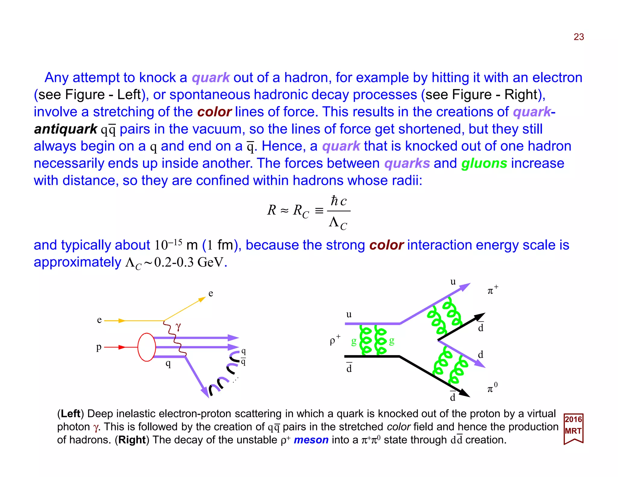 Any attempt to knock a quark out of a hadron, for example by hitting it with an electron
(see Figure - Left), or spontaneous hadronic decay processes (see Figure - Right),
involve a stretching of the color lines of force. This results in the creation of quark-
antiquark qq pairs in the vacuum, so the lines of force get shortened, but they still
always begin on a q and end on a q. Hence, a quark that is knocked out of one hadron
necessarily ends up inside another. The forces between quarks and gluons increase
with distance, so they are confined within hadrons whose radii:
23
(Left) Deep inelastic electron-proton scattering in which a quark is knocked out of the proton by a virtual
photon γ. This is followed by the creation of qq pairs in the stretched color field and hence the production
of hadrons. (Right) The decay of the unstable ρ+ meson into a π+π0 state through dd creation.
C
C
c
RR
Λ
≡≈
h
2017
MRT
and typically about 10−15 m (1 fm), because the strong color interaction energy scale is
approximately ΛC ~ 0.2-0.3 GeV.
e
p
q
q
q
N
e
γ
d
d
d
u
u
d
+
ρ
0
π
+
π
g g
_
_
_
_
 