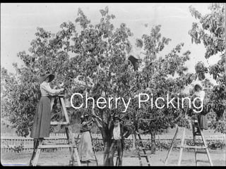 Cherry Picking
http://flic.kr/p/8Xtus2
 