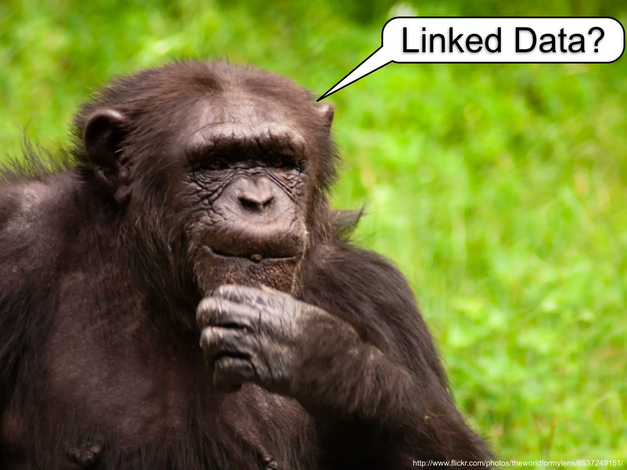 Linked Data?




http://www.flickr.com/photos/theworldformylens/6537249151/
 