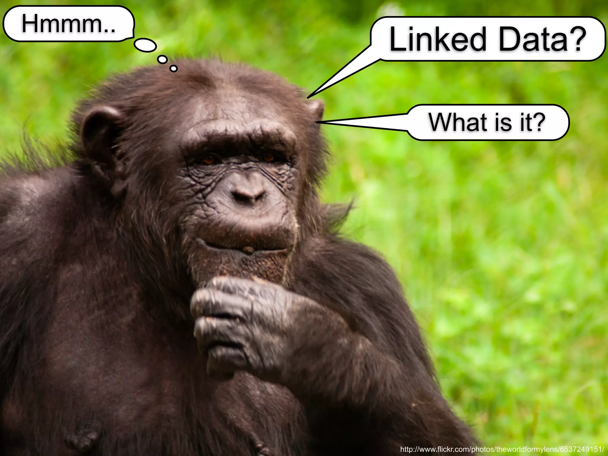 Hmmm..
         Linked Data?

                What is it?




         http://www.flickr.com/photos/theworldformylens/6537249151/
 