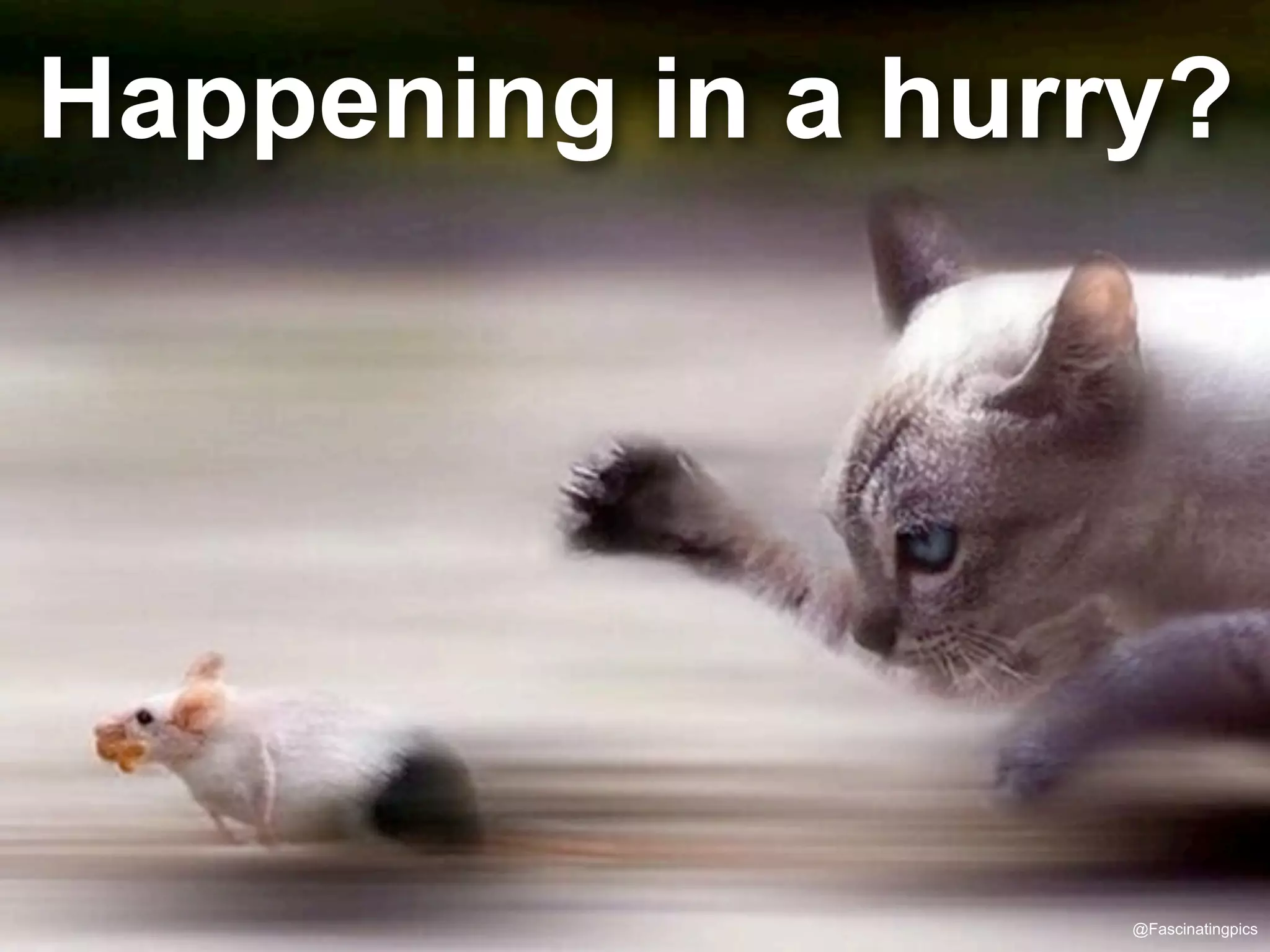Happening in a hurry?
@Fascinatingpics
 