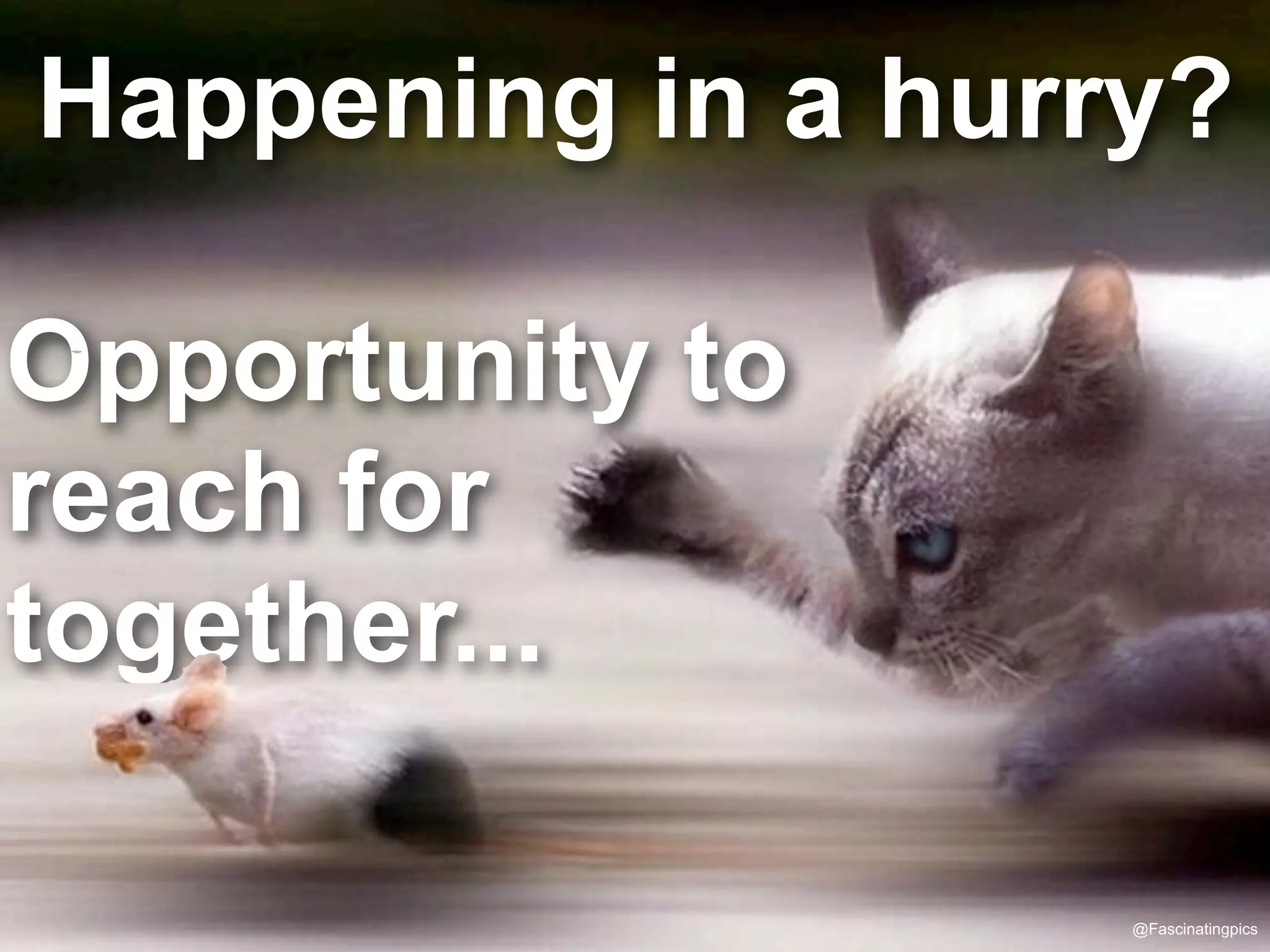 Happening in a hurry?
Opportunity to
reach for
together...
@Fascinatingpics
 