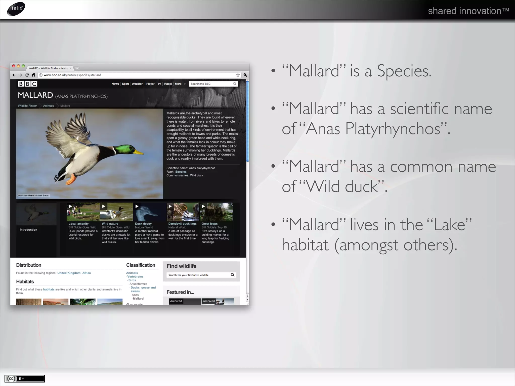 shared innovation™
• “Mallard” is a Species.
• “Mallard” has a scientiﬁc name
of “Anas Platyrhynchos”.
• “Mallard” has a common name
of “Wild duck”.
• “Mallard” lives in the “Lake”
habitat (amongst others).
 