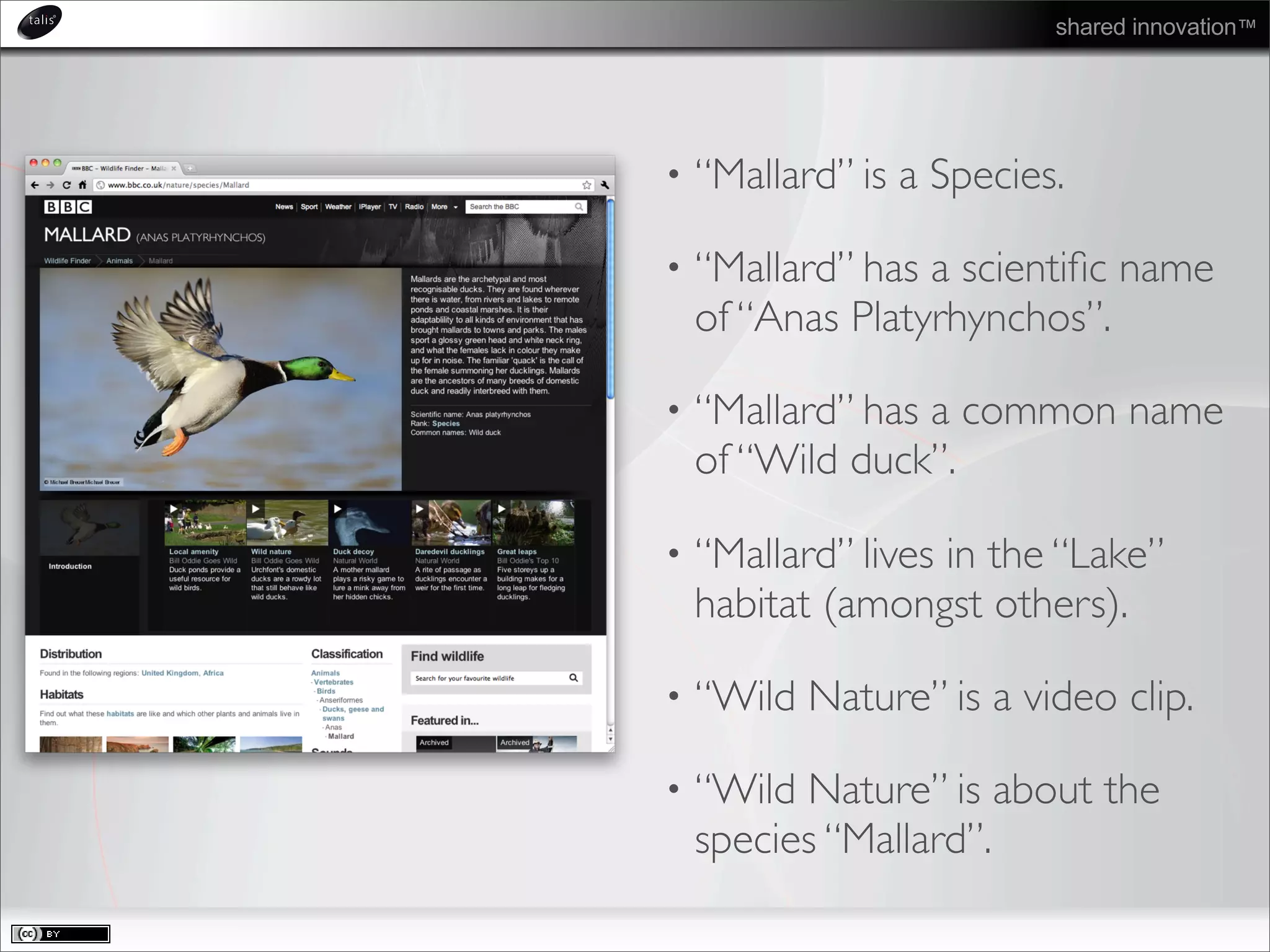 shared innovation™
• “Mallard” is a Species.
• “Mallard” has a scientiﬁc name
of “Anas Platyrhynchos”.
• “Mallard” has a common name
of “Wild duck”.
• “Mallard” lives in the “Lake”
habitat (amongst others).
• “Wild Nature” is a video clip.
• “Wild Nature” is about the
species “Mallard”.
 
