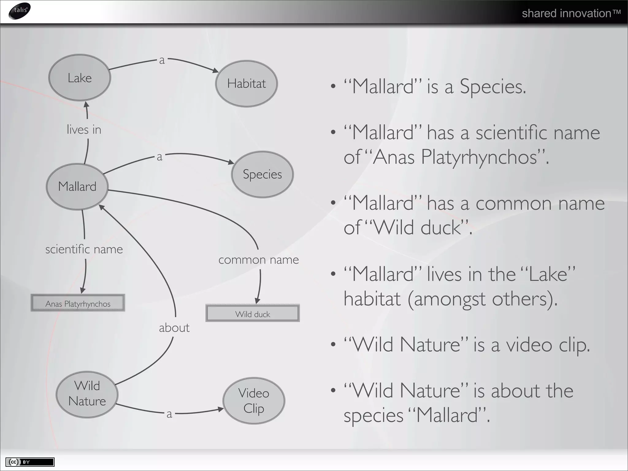 shared innovation™
• “Mallard” is a Species.
• “Mallard” has a scientiﬁc name
of “Anas Platyrhynchos”.
• “Mallard” has a common name
of “Wild duck”.
• “Mallard” lives in the “Lake”
habitat (amongst others).
• “Wild Nature” is a video clip.
• “Wild Nature” is about the
species “Mallard”.
Mallard
Species
a
Anas Platyrhynchos
scientiﬁc name
Wild
Nature
Video
Clipa
about
Wild duck
common name
Lake Habitat
a
lives in
 