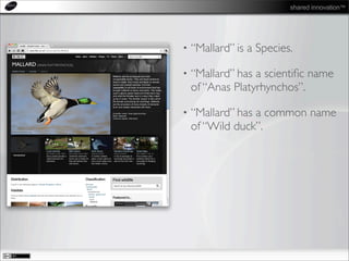 shared innovation™
• “Mallard” is a Species.
• “Mallard” has a scientiﬁc name
of “Anas Platyrhynchos”.
• “Mallard” has a common name
of “Wild duck”.
 