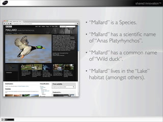shared innovation™
• “Mallard” is a Species.
• “Mallard” has a scientiﬁc name
of “Anas Platyrhynchos”.
• “Mallard” has a common name
of “Wild duck”.
• “Mallard” lives in the “Lake”
habitat (amongst others).
 