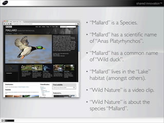 shared innovation™
• “Mallard” is a Species.
• “Mallard” has a scientiﬁc name
of “Anas Platyrhynchos”.
• “Mallard” has a common name
of “Wild duck”.
• “Mallard” lives in the “Lake”
habitat (amongst others).
• “Wild Nature” is a video clip.
• “Wild Nature” is about the
species “Mallard”.
 