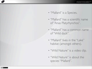shared innovation™
• “Mallard” is a Species.
• “Mallard” has a scientiﬁc name
of “Anas Platyrhynchos”.
• “Mallard” has a common name
of “Wild duck”.
• “Mallard” lives in the “Lake”
habitat (amongst others).
• “Wild Nature” is a video clip.
• “Wild Nature” is about the
species “Mallard”.
 