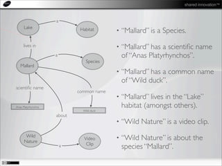 shared innovation™
• “Mallard” is a Species.
• “Mallard” has a scientiﬁc name
of “Anas Platyrhynchos”.
• “Mallard” has a common name
of “Wild duck”.
• “Mallard” lives in the “Lake”
habitat (amongst others).
• “Wild Nature” is a video clip.
• “Wild Nature” is about the
species “Mallard”.
Mallard
Species
a
Anas Platyrhynchos
scientiﬁc name
Wild
Nature
Video
Clipa
about
Wild duck
common name
Lake Habitat
a
lives in
 