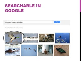 SEARCHABLE IN
GOOGLE
 