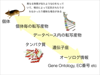 ID




Gene Ontology, EC   etc
 