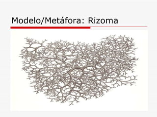 Modelo/Metáfora: Rizoma 