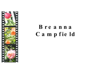 Breanna Campfield 