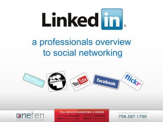 a professionals overview to social networking 