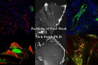 Portfolio of Past Work Nish Patel, Ph.D. 