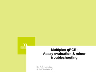 Multiplex qPCR: Assay evaluation & minor troubleshooting By: R.A. Hamidjaja RIVM/Cib/LZO/RBC 