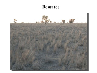 Resource 
