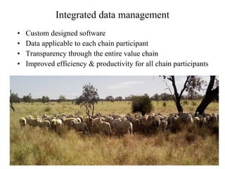 Integrated data management Custom designed software Data applicable to each chain participant Transparency through the entire value chain Improved efficiency & productivity for all chain participants 