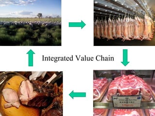 Integrated Value Chain 