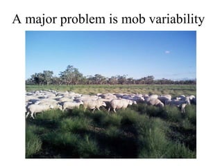 A major problem is mob variability 