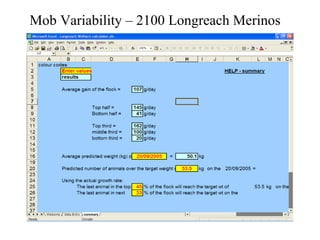Mob Variability – 2100 Longreach Merinos  
