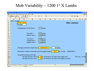 Mob Variability – 1200 1 st  X Lambs 