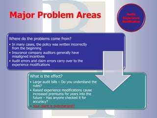 Audit/Experience ModificationMajor Problem Areas
